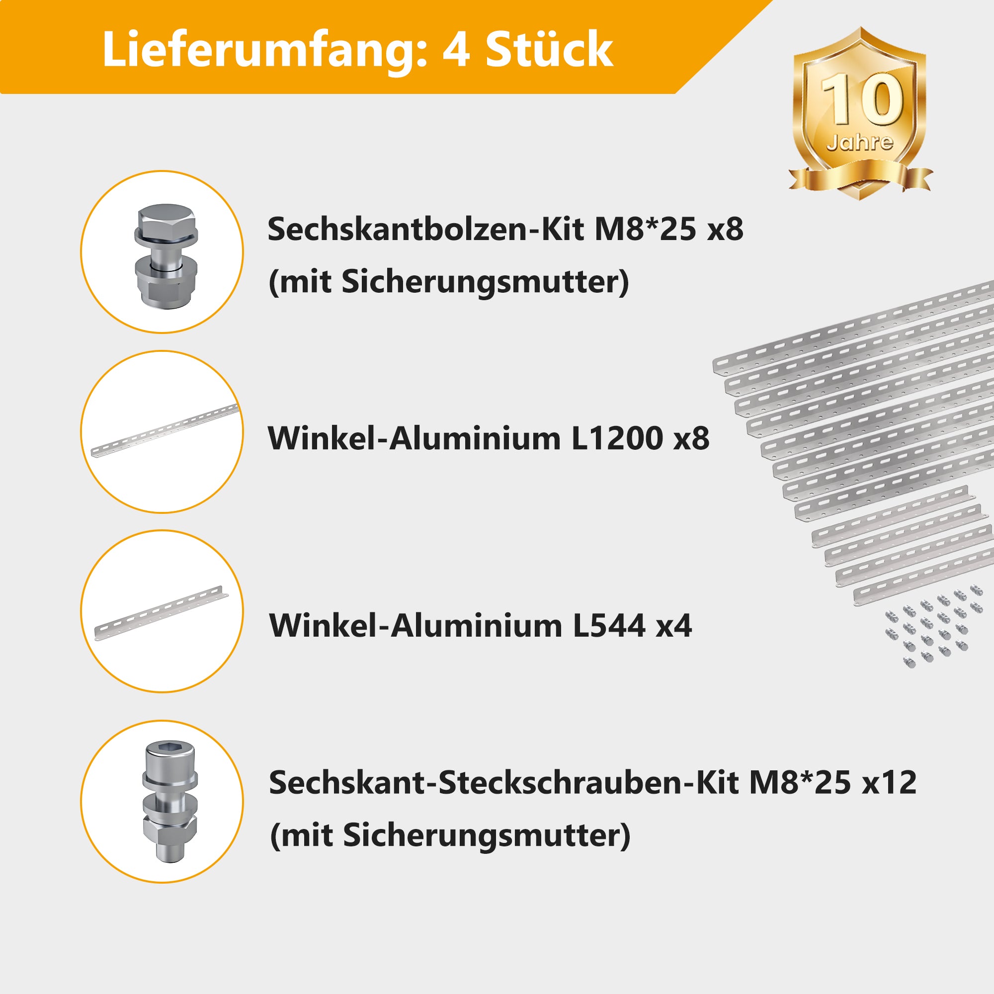 EFORU Solarpanel Halterung für 2 Module, Geeignet für Flachdach/Garten/Fassade